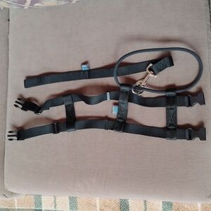 Cesar Millan Black Pet Collar & Leash Set